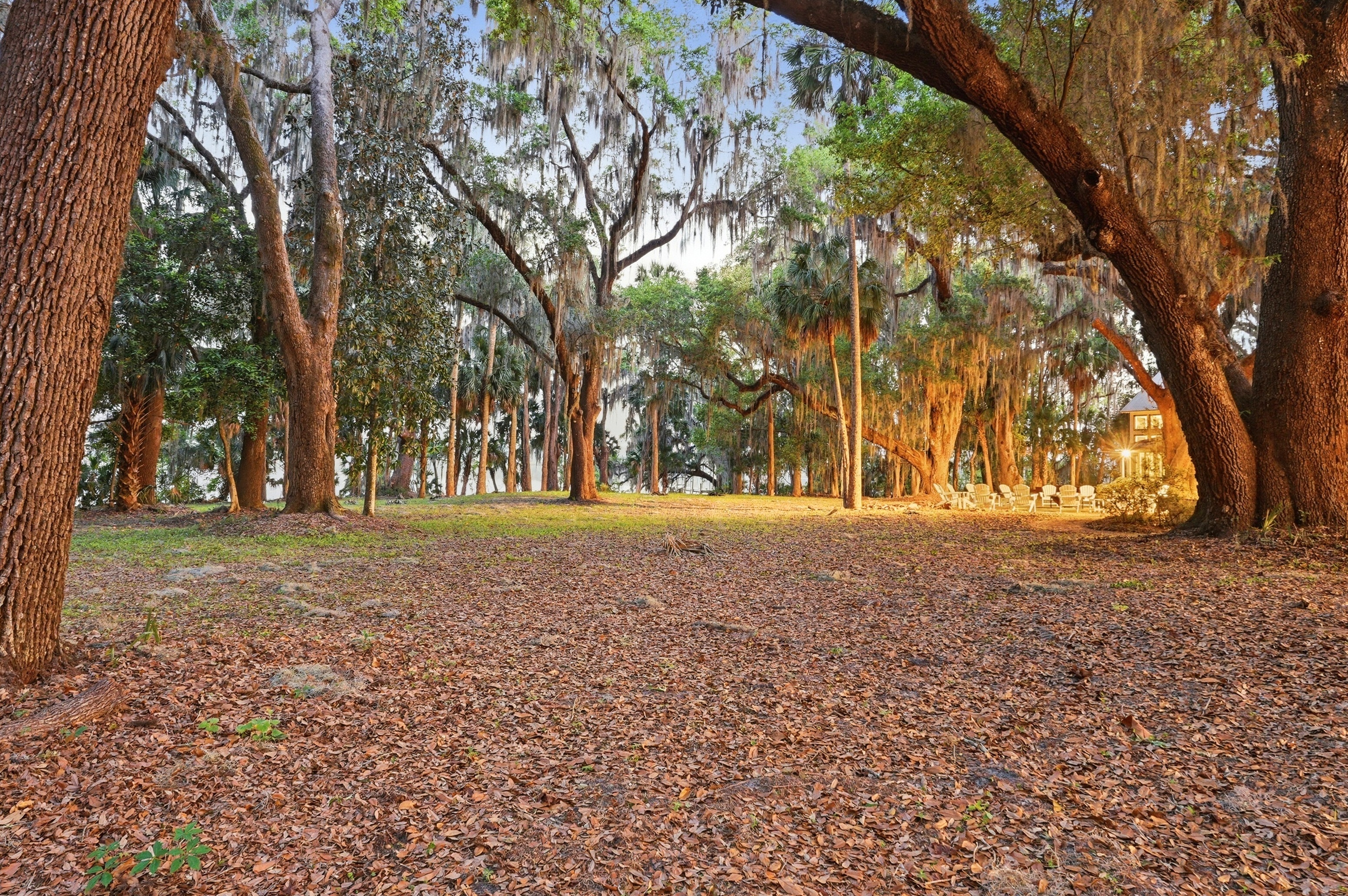 Backyard and grounds