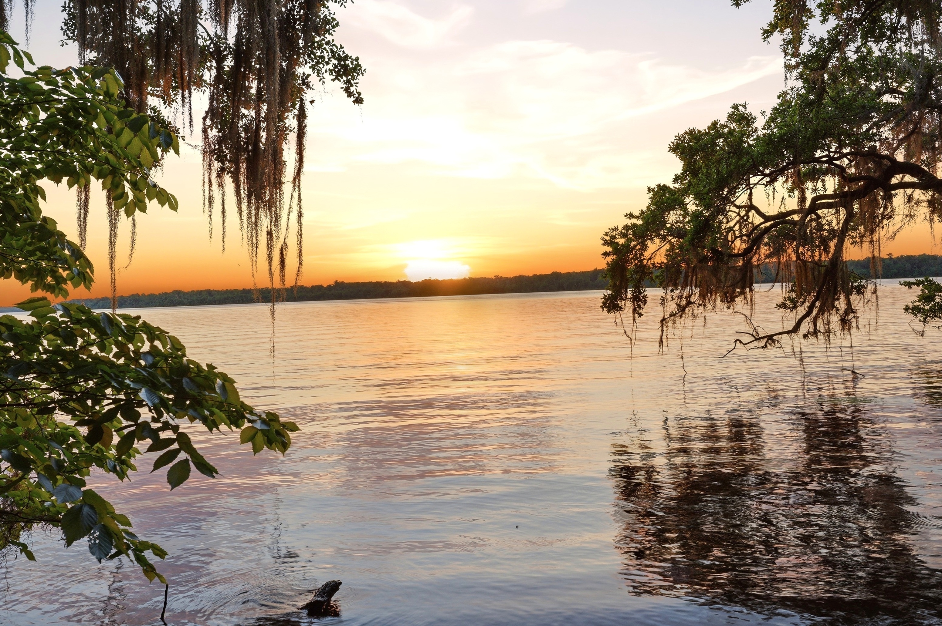 Twilight on the St. Johns River